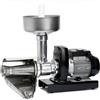 Passapomodoro palumbo sm 3 inox elettrico hp 0,50 e 375w