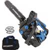 Hyundai CS2500-5-10 - Motosega da potatura a scoppio - Lama da 25 cm