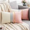Serento Federa Set 2 Pezzi Fodera per Cuscino in Velluto Rosa e Bianco con Cuciture in Pelle Fodera per Cuscino Decorativo di Lusso 30x50cm per Divano Soggiorno auto Decorazione Della Casa
