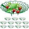 Relaxdays Set da 12 Anelli di Supporto per Fragole, Sostegno in Plastica per Piantine da Orto, Rete Anti Muffa, Verde