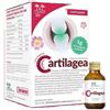 Salugea Cartilagea Cartilagini 18 Flaconcini Da 12 Ml