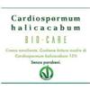 OTI SRL Cardiospermum Halicacabum Bio Care Crema 75Ml