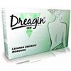 SHEDIR PHARMA SRL UNIPERSONALE Dreagin Len Lavanda Vaginale 5 Flaconcini 140 Ml