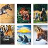 BM ARTI GRAFICHE MAXI QUADERNO ANIMAL BM RIGATURA Q 42 FF 80 GR CONF. 10 PZ 0110381