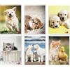 BM ARTI GRAFICHE MAXI QUADERNO CUTE BM RIGATURA Q 42 FF 80 GR CONF. 10 PZ 0110390