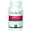 ERBA VITA GROUP SpA BOSWELLIA SERRATA 60CPS 400MG