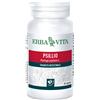 ERBA VITA GROUP SpA PSYLLIO 60CPS