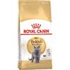 Royal Canin British Shorthair Alimento completo secco per gatti adulti 2KG