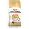 Royal Canin Ragdoll Alimento completo secco per gatti adulti 2KG