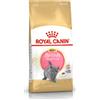 Royal Canin British Shorthair Alimento completo secco per gattini fino a 12 mesi di età 2KG