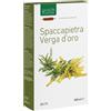 NATURA SERVICE Srl Ligne Spaccapietra Verga 20amp