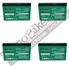 Tecnobike Shop 4 BATTERIE PER VEICOLI A MOTORE AGM 6-DZM-16 (48V) 12V 16AH CICLICA