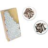Petra's Bastel News Petra S Kit Creativo News a sp33kf33 Articolo Feltro per bricolage, Legno, 15 x 5 x 4 cm