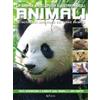 Vega Edizioni La grande enciclopedia illustrata degli animali. Le incredibili meraviglie del regno animale. Libri per sapere