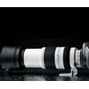 CANON EF 100-400MM F/4.5-5.6L IS II USM - CANON ITALIA GARANZIA UFFICIALE 2 ANNI