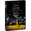 Leone Film Group Una notte a New York