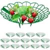 Relaxdays Set da 15 Anelli di Supporto per Fragole, Sostegno in Plastica per Piantine da Orto, Rete Anti Muffa, Verde