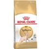 Royal Canin Sphynx Alimento completo secco per gatti adulti 2KG