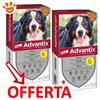 Elanco Dog Advantix Spot-On per Cani da 40-60 kg - Offerta [PREZZO A CONFEZIONE] Quantità minima 4, Confezione da 6 Pipette