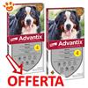Elanco Dog Advantix Spot-On per Cani da 40-60 kg - Offerta [PREZZO A CONFEZIONE] Quantità minima 4, Confezione da 4 Pipette