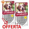 Elanco Dog Advantix Spot-On per Cani da 10-25 kg - Offerta [PREZZO A CONFEZIONE] Quantità minima 4, Confezione da 4 Pipette