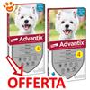 Elanco Dog Advantix Spot-On per Cani da 4-10 kg - Offerta [PREZZO A CONFEZIONE] Quantità minima 4, Confezione da 4 Pipette