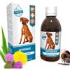 green idea Detox Mangime complementare - Supporto per fegato + reni - Cardo mariano, Tarassaco, Tè verde - Disintossicazione per cani - Forte effetto antiossidante - 200 ml