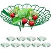 Relaxdays Set da 10 Anelli di Supporto per Fragole, Sostegno in Plastica per Piantine da Orto, Rete Anti Muffa, Verde