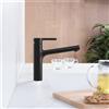 Fortis Barona extend rubinetto da cucina, orientabile, bocca estraibile, 6457600BB, Barona nero spazzolato [Rubinetteria da Cucina > Rubinetti da Cucina]