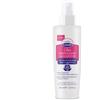ZETA FARMACEUTICI SPA Euphidra Amido Mio Olio Elasticizzante Smagliature 145ml