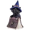 DRW Figura gatto con cappello da strega in un libro di resina dipinto a mano da 12 cm