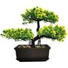 MOVKZACV Piante finte bonsai artificiali, decorazione per camera da letto, ingresso, estetica, bagno, libreria, scrivania, 28 x 21,8 cm (giallo)