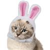 Generic Cappello con orecchie di coniglio per animali domestici, orecchie di coniglio per gatti e cani di piccola taglia, copricapo per feste di Halloween, accessorio per cosplay, feste a tema, festival,