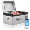 Alpicool C20 20 L Frigorifero Congelatore Portatile Frigoriferi per Auto Mini Frigo 12v per Campeggio, Viaggi, Picnic, Auto,da -20℃ a 20℃