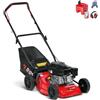 Rato Italian Power RMP41Q-V125 - Rasaerba a Spinta 125 cc - Cesto/Scarico Posteriore