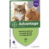 ELANCO ITALIA SpA ADVANTAGE 4 Pip.0,8ml Spot-On
