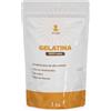 Snadi Gelatina in polvere | 1 kg | 100% pura, insapore e qualità professionale | Ricca di aminoacidi precursori del collagene | Pasticceria, dessert, gel e salse | Facile da sciogliere e consistenza