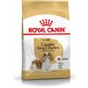 Royal Canin Cavalier King Spaniel Adult Alimento Completo per Cani di Razza Adulti e Maturi Oltre 10 Mesi di Età 3KG