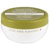 DIPROS Srl Planters aloe maschera disciplin - Planters - 904909090