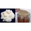 KEFIRALIA Pack 40g di Granuli Di Kéfir Di Latte + Disco SCOBY Kombucha + Istruzioni + Ricette + Aiuto e consigli in italiano - KEFIRALIA®