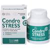 INNOVET ITALIA Srl Candro Stress+ , 60 Compresse Masticabili per Cani Adulti e Anziani - Articolazioni Sane