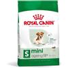 Royal Canin Mini Ageing+12 Alimento Secco Completo per Cani Anziani di Piccola Taglia 3.5KG