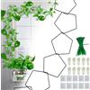 SENIURIS Traliccio a catena pentagonale per piante rampicanti, accessori per piante domestiche per piante rampicanti e tralicci da parete da giardino, supporto per piante da interno ed esterno con