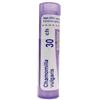 Boiron Chamomilla Vulgaris 30 Ch 80 Granuli 4 g