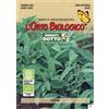 Sementi Dotto Sementi Aromi Salvia