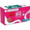 PALADIN PHARMA SpA Paladin Pharma, Sanavita B Vitamins B12 Integratore, 15 Flaconcini