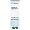 Echinacea Erba Vita Echinacea Rx Sol Ial 50Ml 50 ml Soluzione