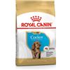 Royal Canin Cocker Puppy 3KG
