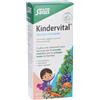 SALUS HAUS Gmbh & Co KG Salus Floradix-Kindervital, Integratore con Calcio e Vitamine per Bambini, 250 ml