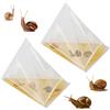 EFUTURETIME 20 x Trappola per Lumache, Difesa per Lumache, Trappola per Birra, Lumaca Catcher Buste di PE Plastica per Giardino, Frutteto, Cortile